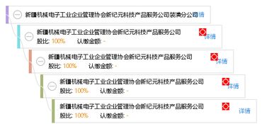 新疆机械电子工业企业管理协会新纪元科技产品服务公司装潢分公司技术开发路径探析